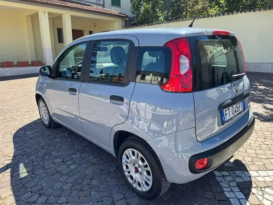 Usata Fiat Panda Easy 69 CV (50 kW) 2019 Grigio Utilitaria