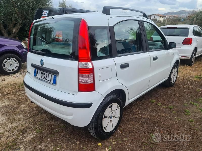 Usata Fiat Panda 54 CV (39 kW) 2004 Bianco Utilitaria