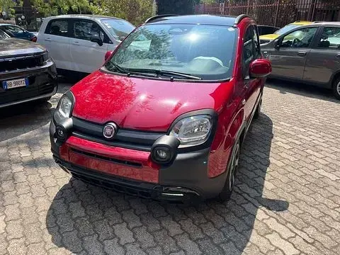Usata Fiat Panda Cross Cross 69 CV (50 kW) 2026 Utilitaria