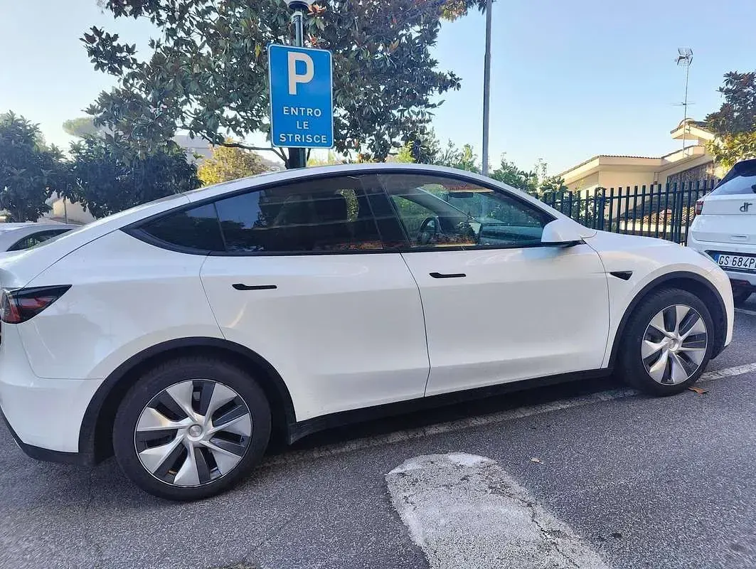 Usata Tesla Model Y 152 kW (208 CV) 2023 Bianco SUV