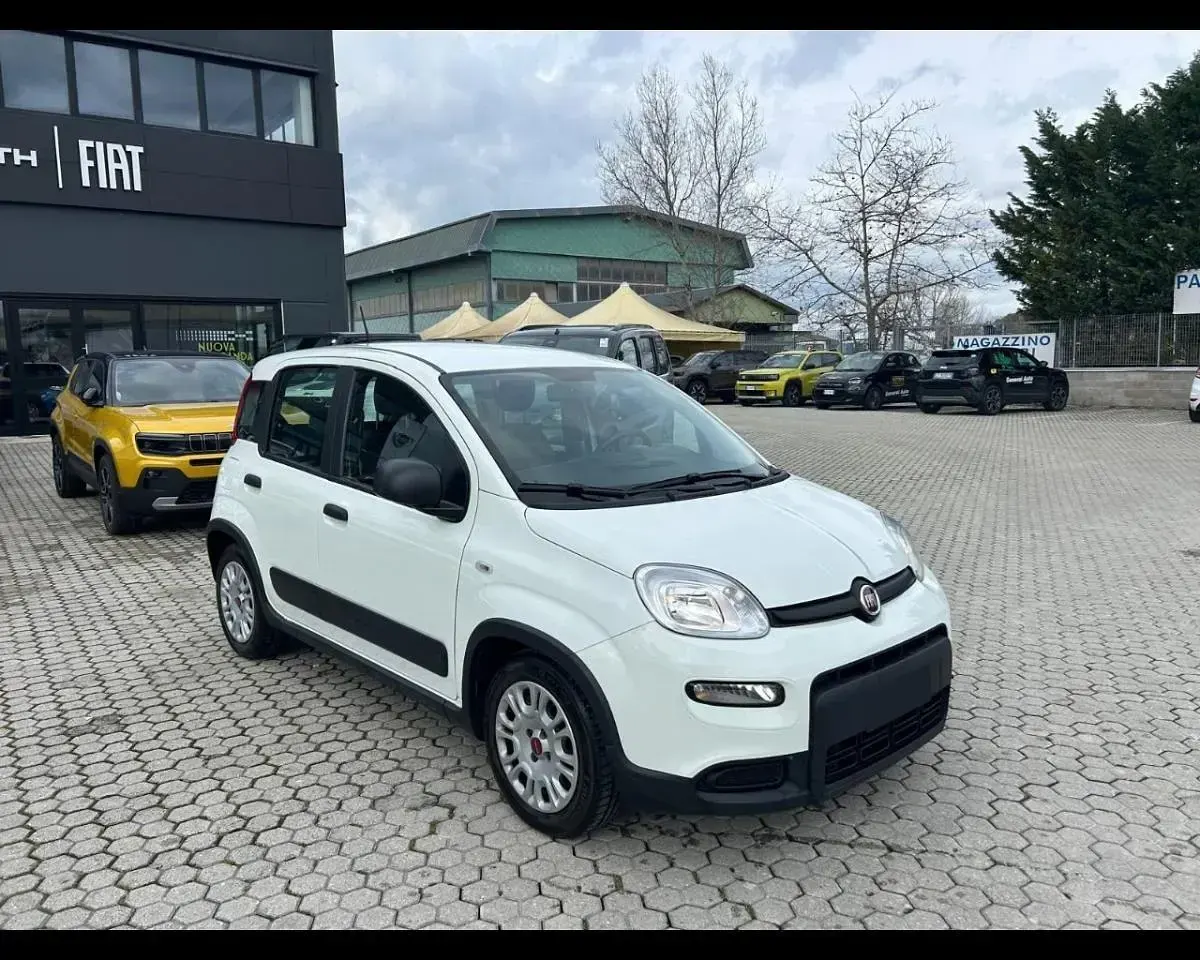 Usata Fiat Panda Cross Cross 70 CV (51 kW) 2023 Utilitaria