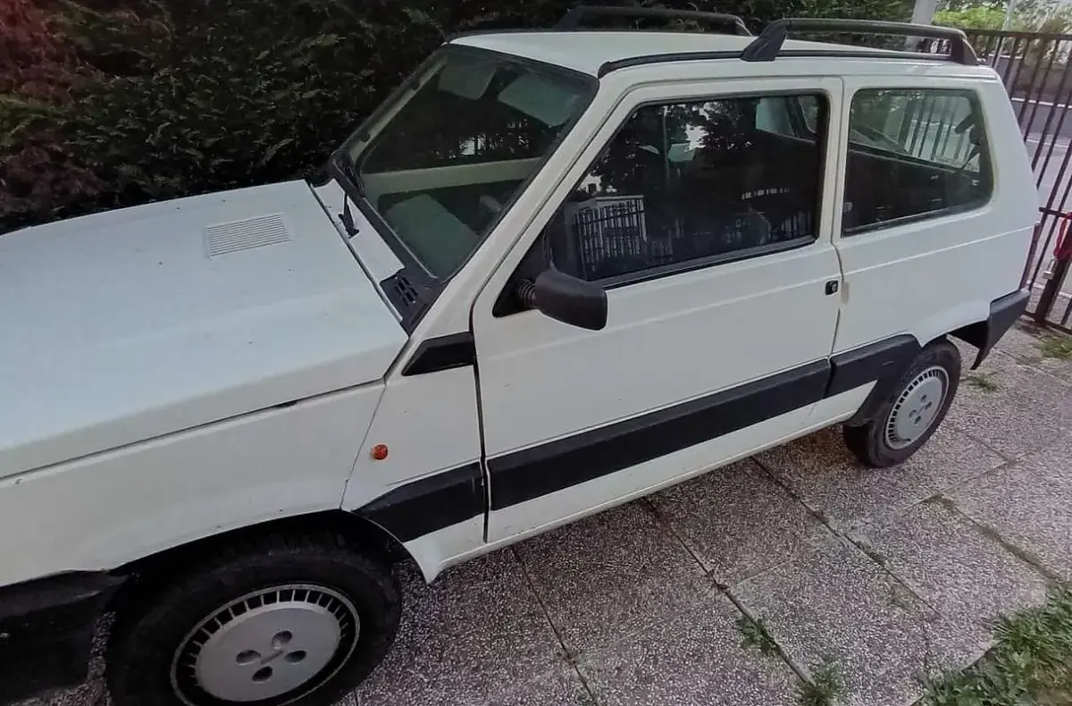 Usata Fiat Panda 54 CV (39 kW) 2003 Utilitaria