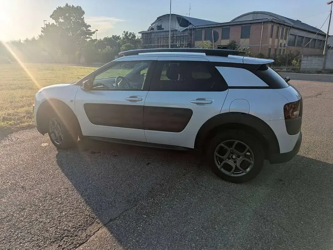 Usata Citroën C4 Shine 99 CV (72 kW) 2016 Bianco SUV