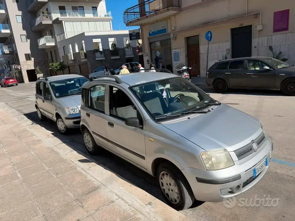 Usata Fiat Panda Dynamic 60 CV (44 kW) 2009 Grigio Utilitaria