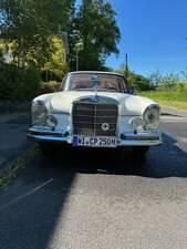 Usata Mercedes 250 SE 150 CV (110 kW) 1965 Bianco Coupé