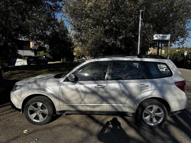 Usata Subaru Forester 147 CV (108 kW) 2013 Bianco SUV