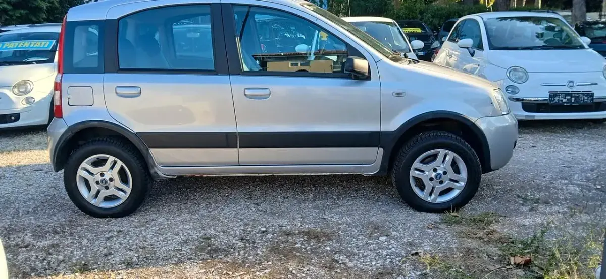 Usata Fiat Panda 4x4 Climbing 75 CV (55 kW) 2007 Argento Utilitaria