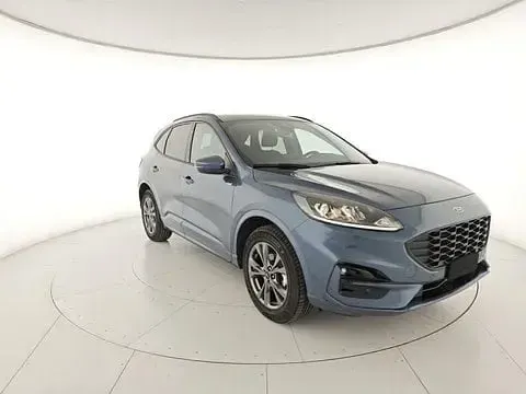 Usata Ford Kuga ST-Line 224 CV (164 kW) 2023 SUV