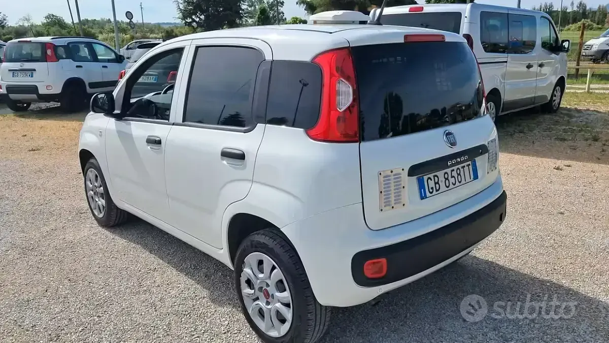 Usata Fiat Panda Pop 84 CV (61 kW) 2020 Bianco Utilitaria