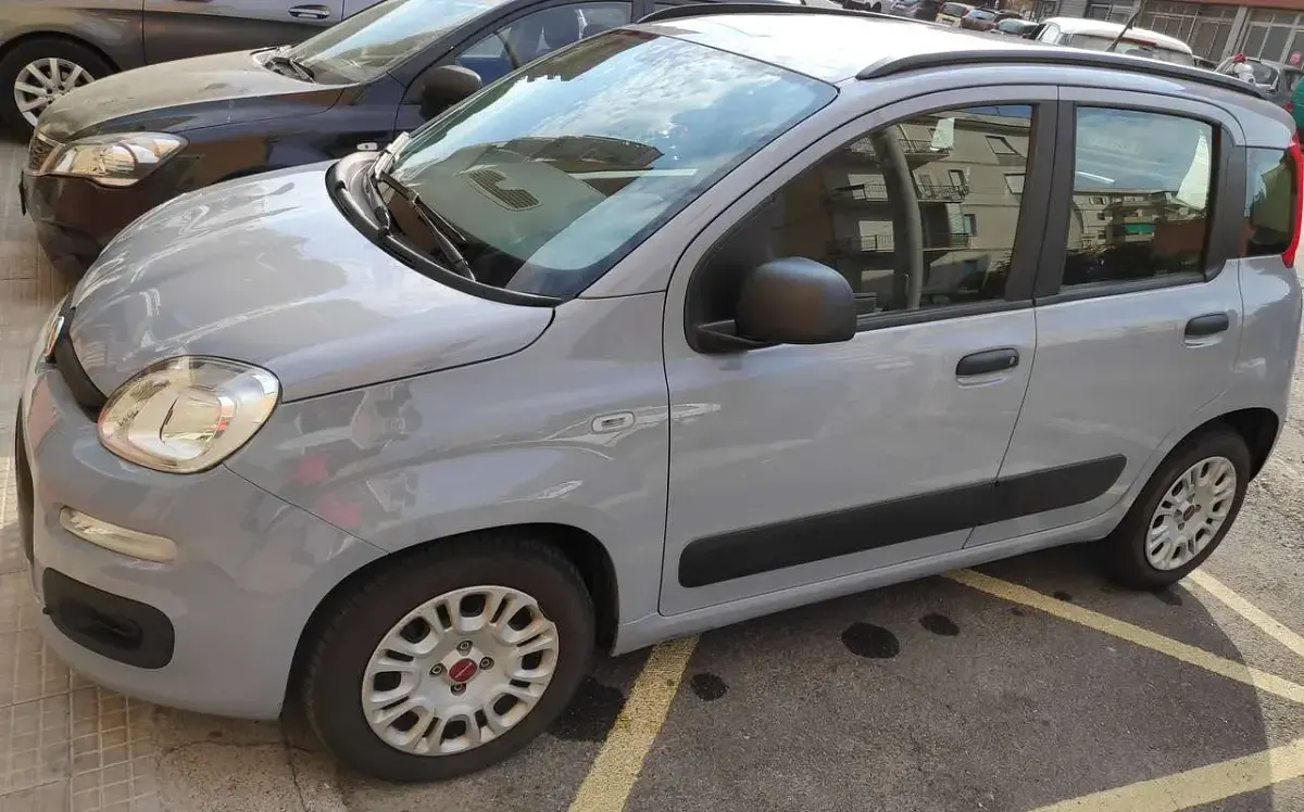 Usata Fiat Panda 4x4 S 95 CV (69 kW) 2017 Utilitaria