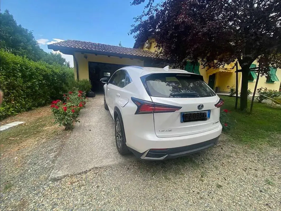 Usata Lexus NX300h Business Edition 155 CV (114 kW) 2020 Bianco SUV