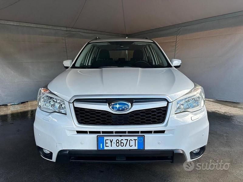 Usata Subaru Forester Comfort 147 CV (108 kW) 2015 Bianco SUV