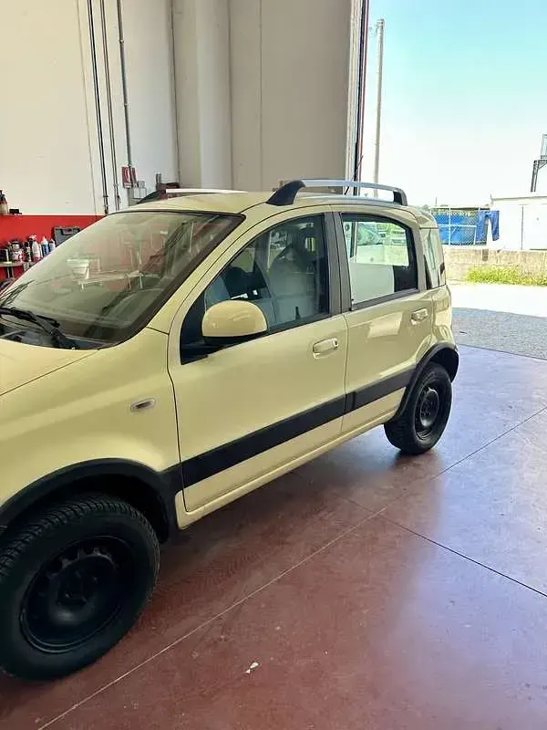 Usata Fiat Panda 4x4 Climbing 69 CV (50 kW) 2010 Utilitaria