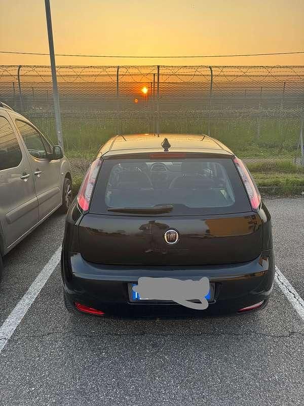 Usata Fiat Punto Easy 77 CV (56 kW) 2015 Utilitaria