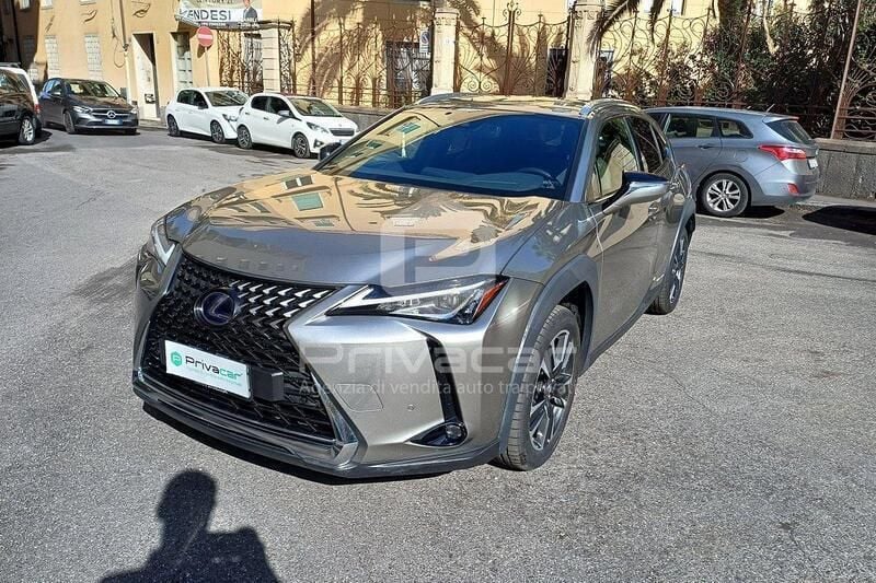 Usata Lexus UX 152 CV (111 kW) 2020 Grigio SUV