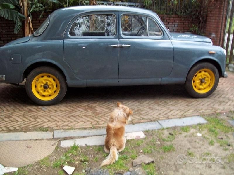 Usata Lancia Appia 1950 Grigio Berlina