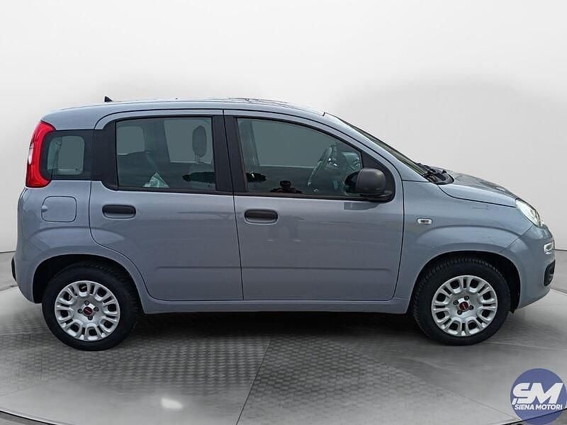 Usata Fiat Panda Easy 69 CV (50 kW) 2019 Grigio Berlina