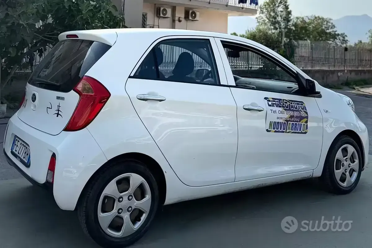 Usata Kia Picanto 67 CV (49 kW) 2016 Bianco Utilitaria