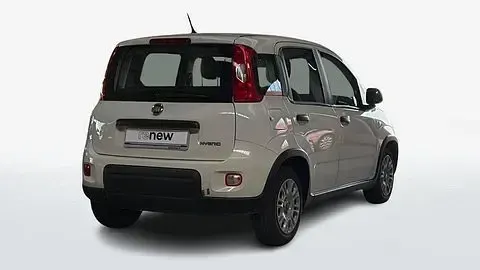 Usata Fiat Panda Easy 69 CV (50 kW) 2024 Bianco Utilitaria