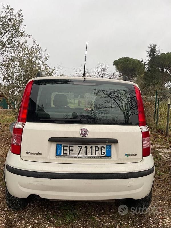 Usata Fiat Panda 77 CV (56 kW) 2010 Bianco Utilitaria