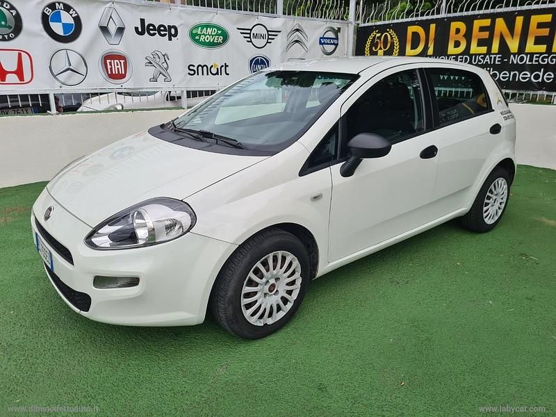 Usata Fiat Punto Evo Active 75 CV (55 kW) 2013 Bianco Utilitaria
