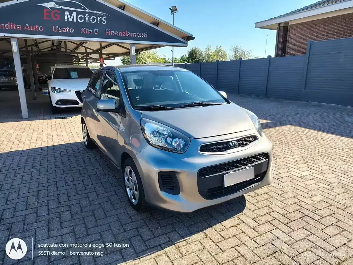Usata Kia Picanto Active 67 CV (49 kW) 2016 Marrone Utilitaria