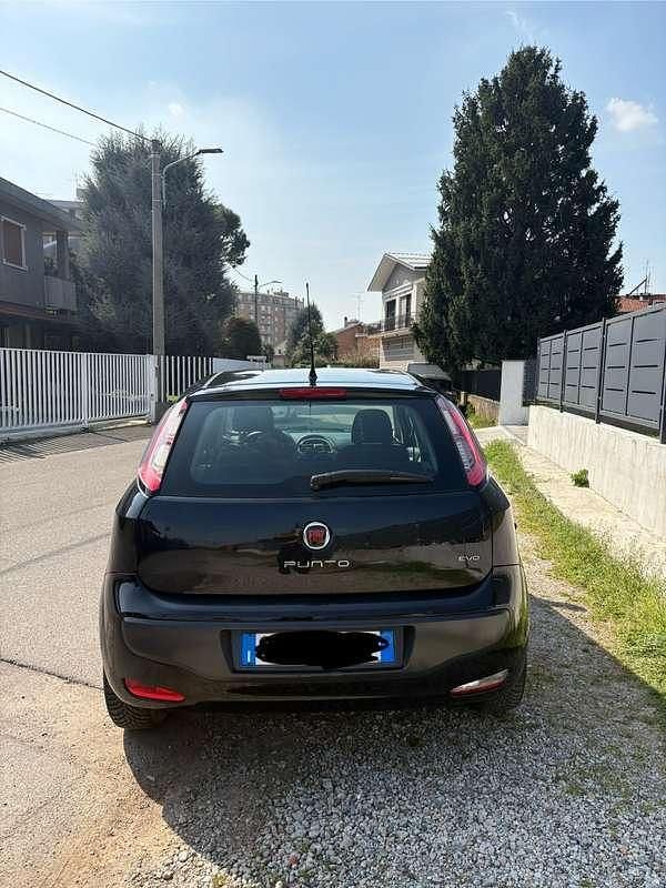 Usata Fiat Punto Evo Active 75 CV (55 kW) 2010 Utilitaria