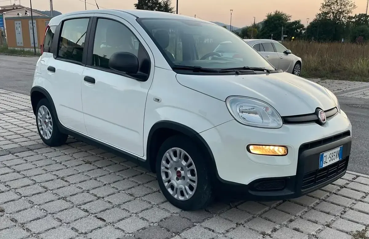 Usata Fiat Panda S 69 CV (50 kW) 2022 Bianco Utilitaria