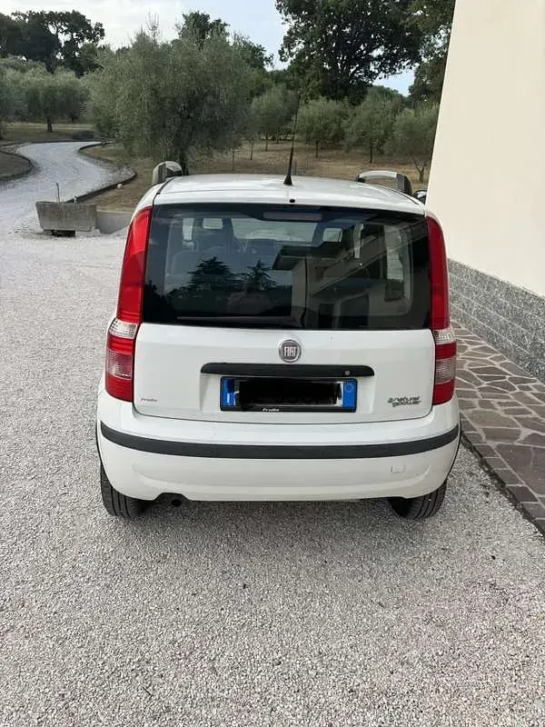 Usata Fiat Panda Active 77 CV (56 kW) 2012 Bianco Utilitaria