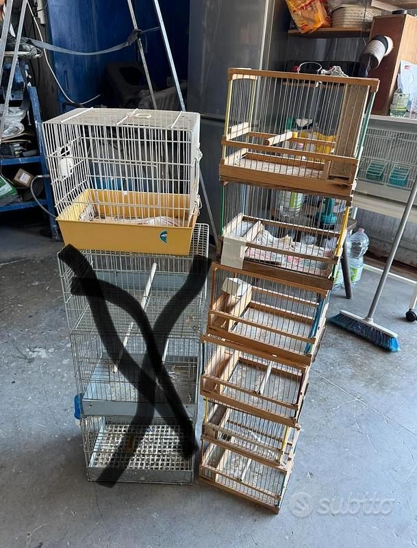 Usata Fiat Panda Young 1999 Bianco Utilitaria