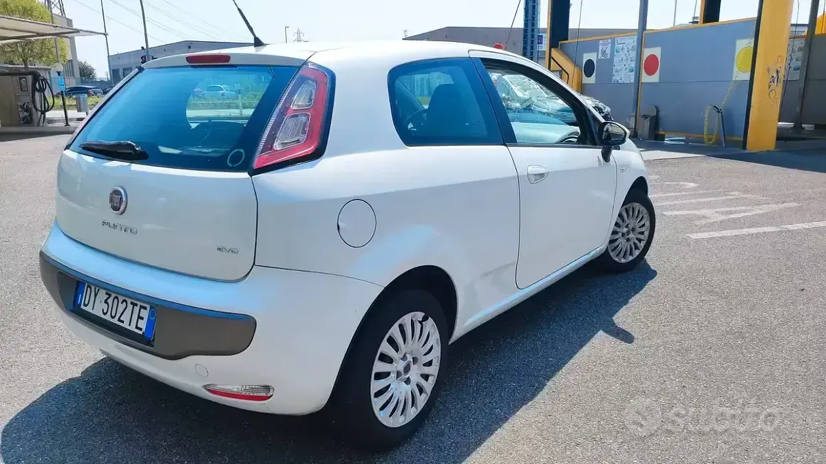 Usata Fiat Punto Evo Dynamic 65 CV (47 kW) 2010 Bianco Utilitaria