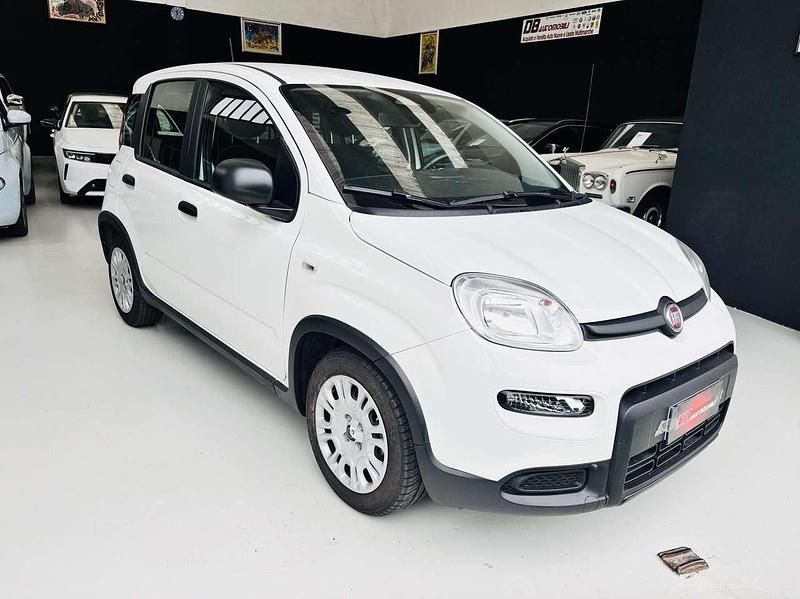Usata Fiat Panda S 69 CV (50 kW) 2024 Bianco Utilitaria