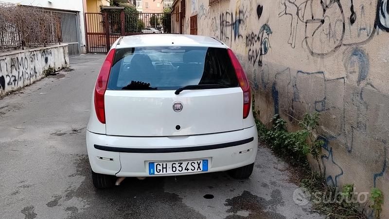 Usata Fiat Punto Active 2009 Bianco Berlina