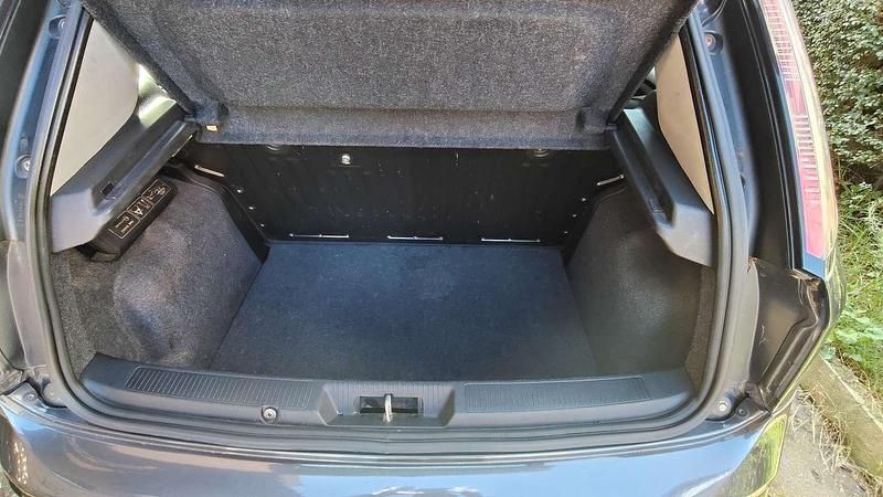 Usata Fiat Punto Evo S 75 CV (55 kW) 2010 Grigio Utilitaria