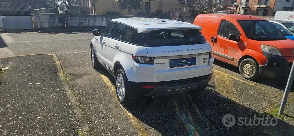 Usata Land Rover Range Rover evoque Pure 150 CV (110 kW) 2011 Bianco SUV