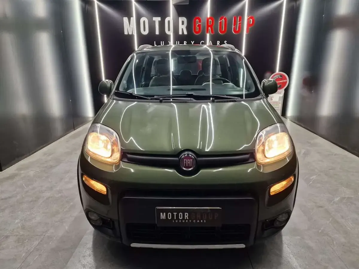 Usata Fiat Panda 4x4 S 75 CV (55 kW) 2014 Verde Utilitaria