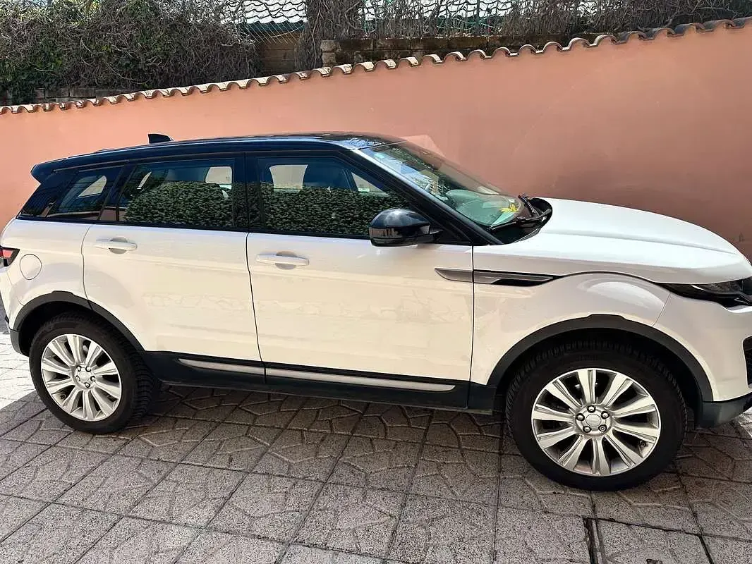 Usata Land Rover Range Rover evoque Pure 150 CV (110 kW) 2017 Bianco SUV
