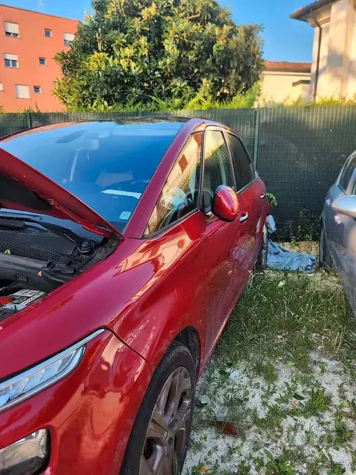 Usata Citroën C4 Picasso 115 CV (84 kW) 2014 Monovolume