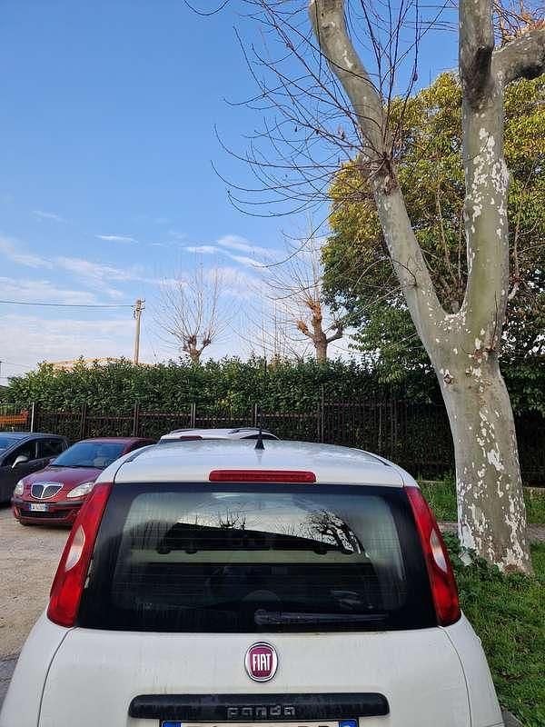 Usata Fiat Panda Easy 80 CV (58 kW) 2015 Bianco Utilitaria