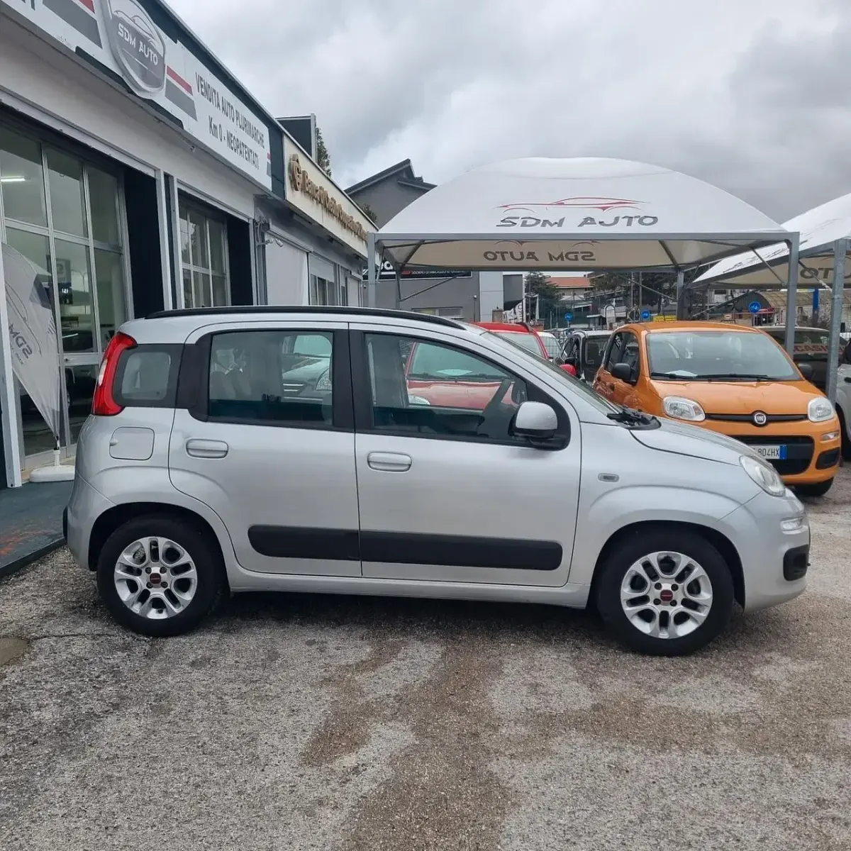 Usata Fiat Panda Easy 80 CV (58 kW) 2015 Argento Utilitaria