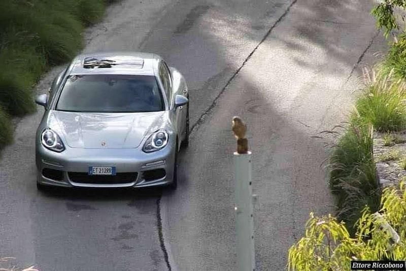 Usata Porsche Panamera Platinum Edition 250 CV (183 kW) 2013 Utilitaria