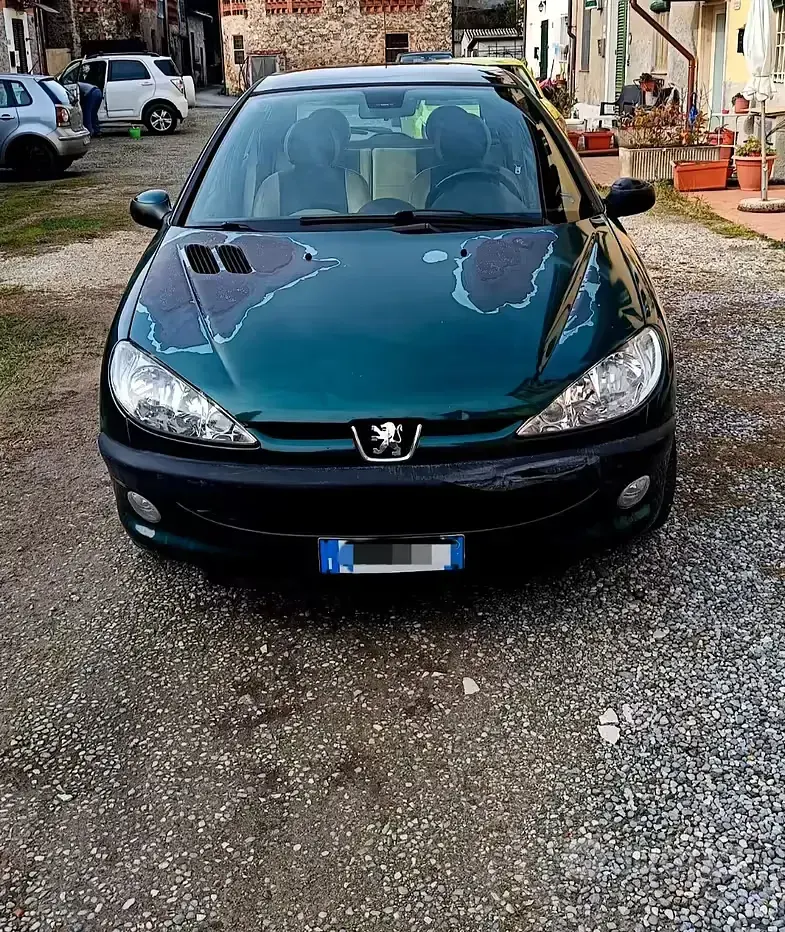Usata Peugeot 206 Roland Garros 75 CV (55 kW) 2000 Verde Berlina