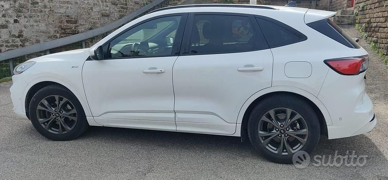 Usata Ford Kuga ST-Line 120 CV (88 kW) 2020 Bianco SUV