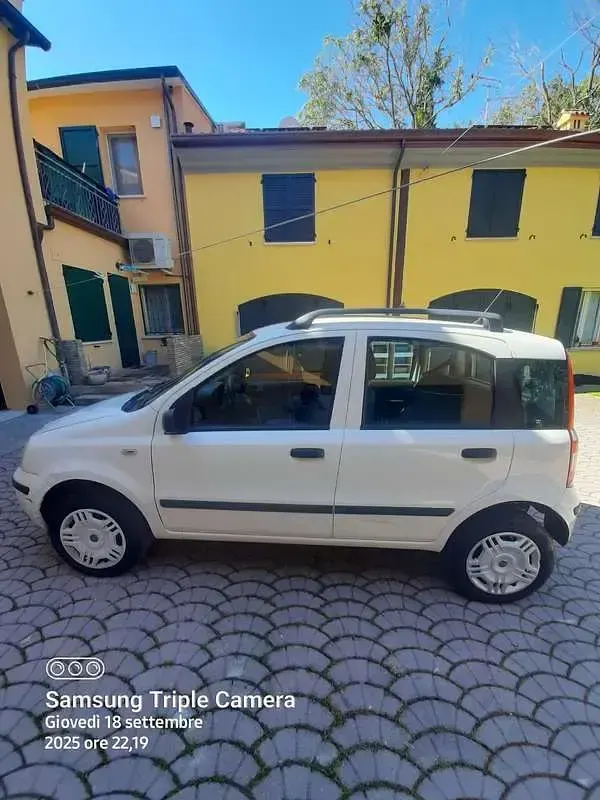 Usata Fiat Panda Dynamic 60 CV (44 kW) 2009 Bianco Utilitaria