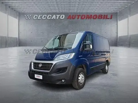 Usata Fiat Ducato 116 CV (85 kW) 2019 Furgone