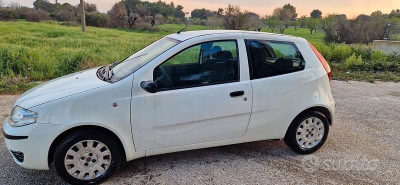 Usata Fiat Punto Classica 69 CV (50 kW) 2009 Bianco Utilitaria