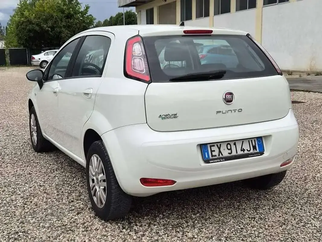 Usata Fiat Punto Evo Lounge 77 CV (56 kW) 2014 Bianco Utilitaria