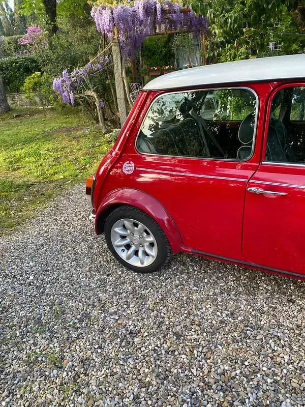 Usata Rover Mini 65 CV (47 kW) 1999 Rosso Berlina