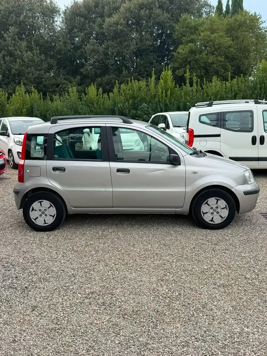 Usata Fiat Panda Active 54 CV (39 kW) 2004 Utilitaria