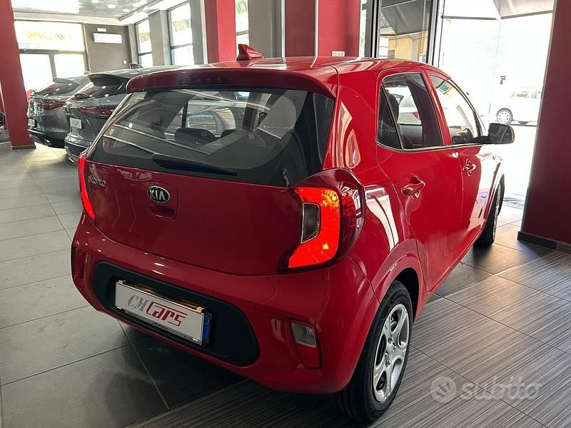 Usata Kia Picanto Urban 67 CV (49 kW) 2021 Rosso Utilitaria